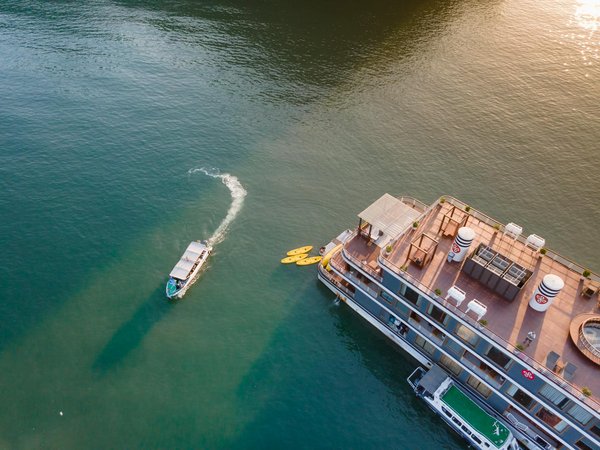 Quels sont les secrets pour une randonnée réussie dans les montagnes de l'Omine, Japon : itinéraires et équipements?